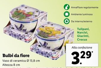 Lidl Bulbi da fiore offerta