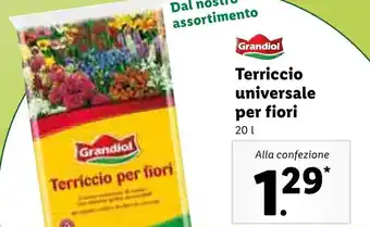 Lidl Grandiol Terriccio universale per fiori 20L offerta