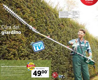 Lidl Parkside Tagliasiepi elettrico a braccio lungo offerta