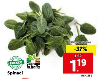 Lidl Spinaci offerta