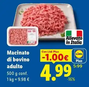 Macinato di bovino adulto