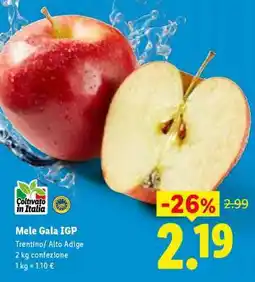 Lidl Mele Gala IGP offerta