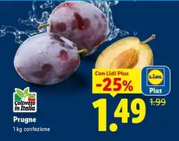 Lidl Prugne offerta