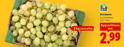 Lidl Uva Bianca offerta