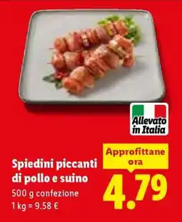 Lidl Spiedini piccanti di pollo e suino offerta