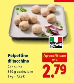 Lidl Polpettine di tacchino offerta