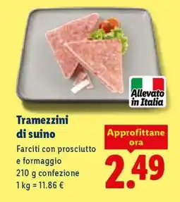 Lidl Tramezzini di suino offerta