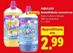 Lidl Fabuloso Ammorbidente Concentrato offerta