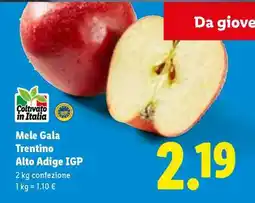 Lidl Mele Gala Trentino Alto Adige IGP offerta