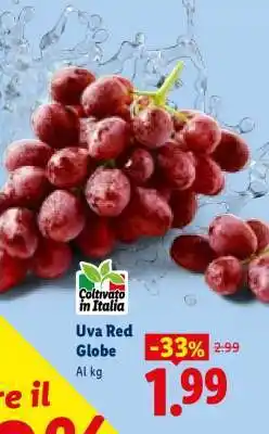 Lidl Uva Red Globe offerta