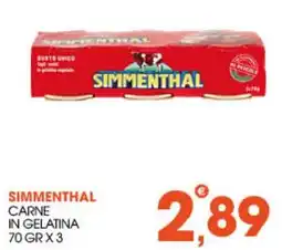 Rosa Cash Simmenthal carne in gelatina offerta