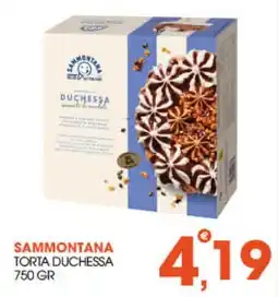 Rosa Cash Sammontana torta duchessa offerta