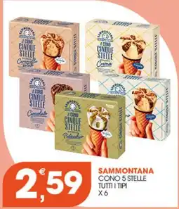 Rosa Cash Sammontana cono 5 stelle offerta
