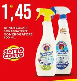Vantaggio Cash&Carry Chanteclair sgrassatore universale offerta