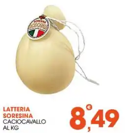 Rosa Cash Latteria Soresina Caciocavallo offerta