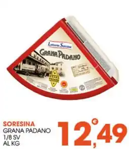 Rosa Cash Soresina Grana Padano offerta