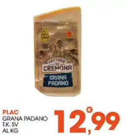 Rosa Cash Plac Grana Padano offerta