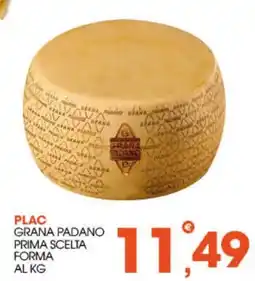 Rosa Cash Plac Grana Padano Prima Scelta offerta