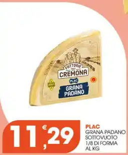 Rosa Cash Plac Grana Padano offerta