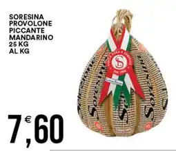 Vantaggio Cash&Carry Soresina provolone piccante mandarino offerta