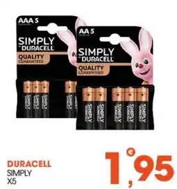 Rosa Cash Duracell Simply AAA offerta