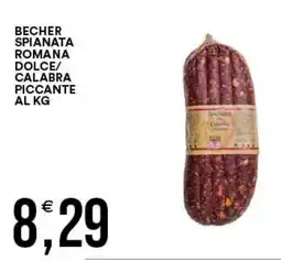 Vantaggio Cash&Carry Becher spianata romana offerta