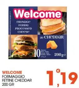Rosa Cash Welcome formaggio fettine cheddar offerta