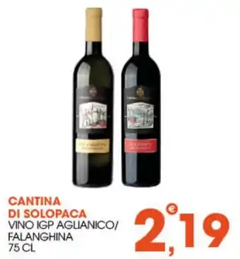 Rosa Cash Cantina di Solopaca Vino IGP Aglianico/Falanghina offerta