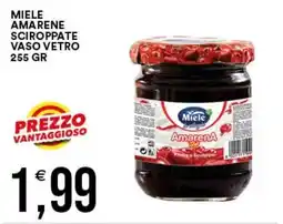 Vantaggio Cash&Carry Miele Amarene Sciopppate offerta