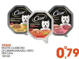 Rosa Cash Cesar ricette classiche/di campagna/dell'orto per cani offerta