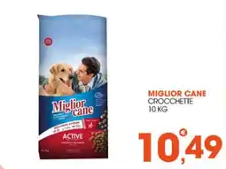 Rosa Cash Miglior cane Active offerta