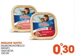 Rosa Cash Miglior Gatto Vaschetta offerta