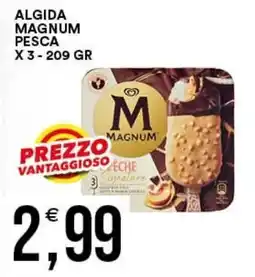 Vantaggio Cash&Carry Magnum pesca offerta