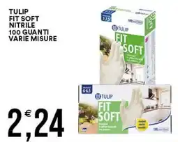 Vantaggio Cash&Carry Tulip guanti nitrile fit soft offerta