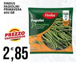 Vantaggio Cash&Carry Findus Fagiolini Primavera offerta