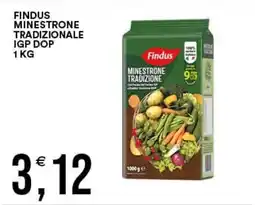 Vantaggio Cash&Carry Findus Minestrone Tradizionale offerta