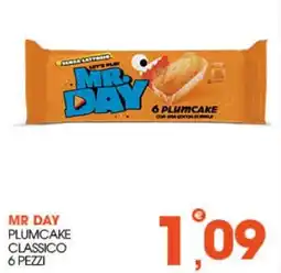 Rosa Cash Mr Day plumcake classico offerta