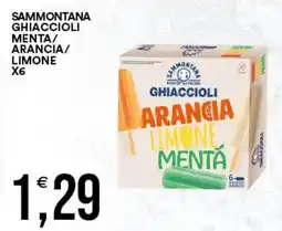 Vantaggio Cash&Carry Sammontana ghiaccioli arancia limone menta offerta