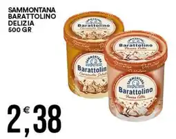 Vantaggio Cash&Carry Sammontana Barattolino Delizia offerta