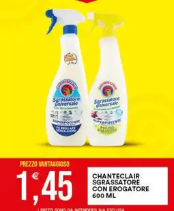 Vantaggio Cash&Carry Chanteclair sgrassatore universale offerta