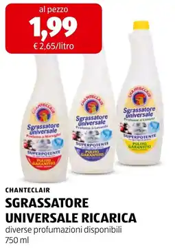 ALDI Chanteclair sgrassatore universale ricarica offerta