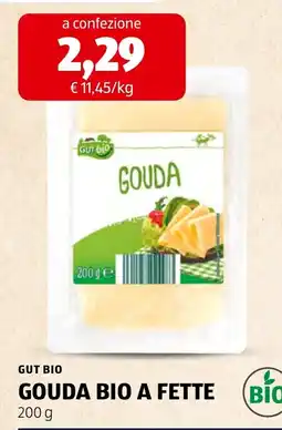 ALDI Gouda bio offerta