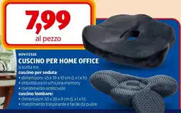 ALDI Novitesse cuscino per home office offerta