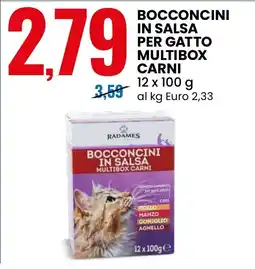 Eurospin Bocconcini in salsa multibox carni offerta