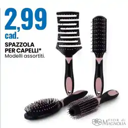 Eurospin Spazzola per capelli* offerta