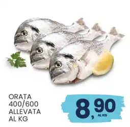 Eurospar Orata offerta