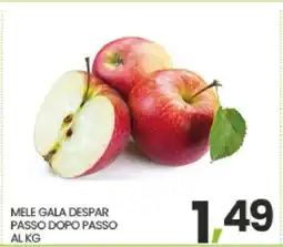 Eurospar MELE GALA DESPAR offerta