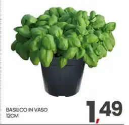 Eurospar BASILICO IN VASO offerta