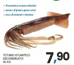 Eurospar TOTANO ATLANTICO offerta