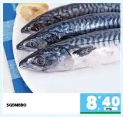Eurospar SGOMBRO offerta